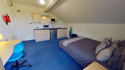 Large Bedsit with Private Kitchen Main Photo