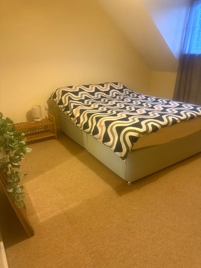 Room in a quiet shared house  Main Photo