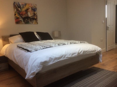 Large Loft Ensuite Room Minutes from Station Main Photo