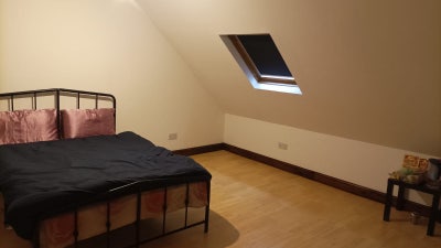 Big Double room for couple/male/females/ single Main Photo