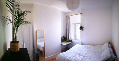 Room Available Haringey  Main Photo