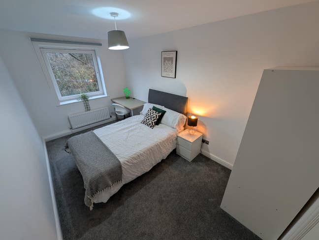 University-Area Room Available – 20% Off Main Photo