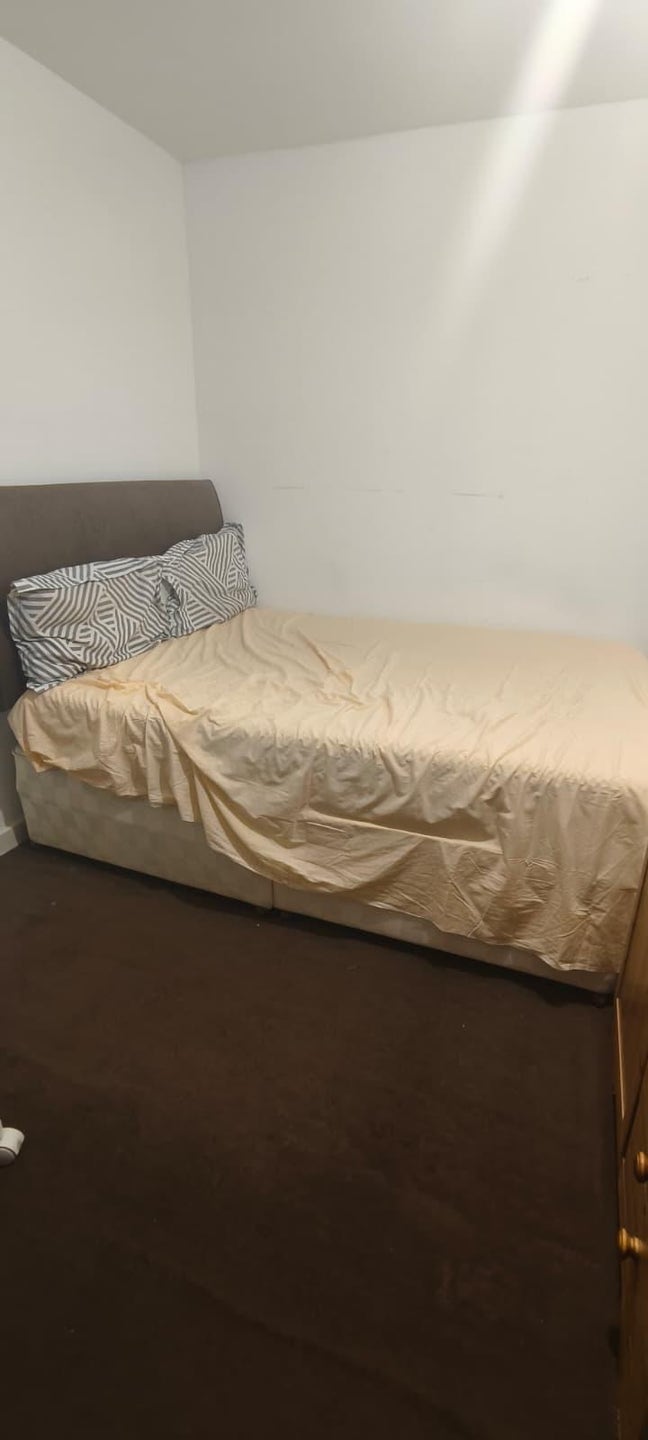 Specious rooms available  Main Photo