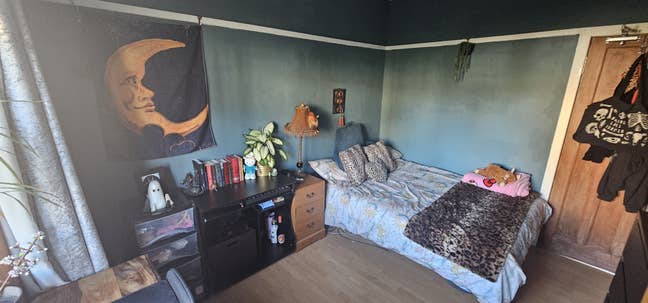 &pound;550 Double off Ferry Rd | Garden & 2 Cats! Main Photo