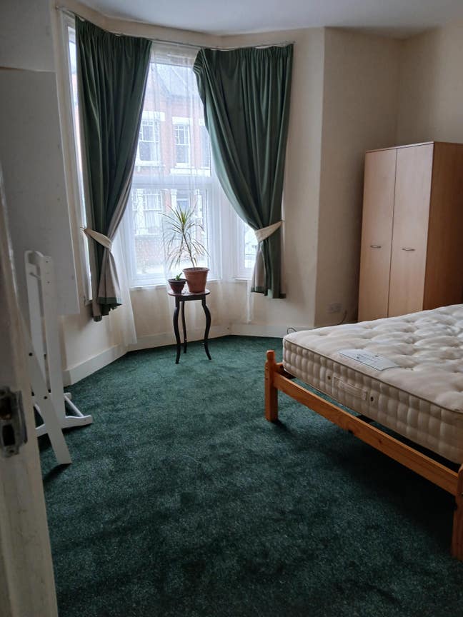 Friendly North London Garden Flat - Zone 2 Main Photo