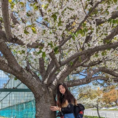 Room wanted in London Main Photo