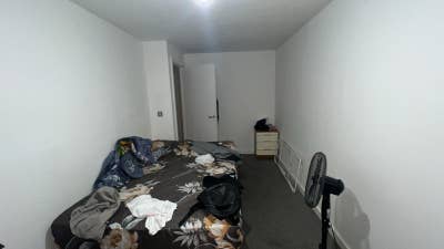 Flatmate needed Main Photo