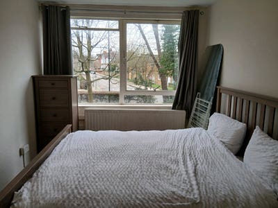 Large room in Friendly flatshare  Main Photo