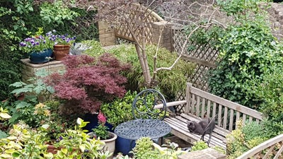 Large Double in Beautiful Maisonette W/Garden Main Photo