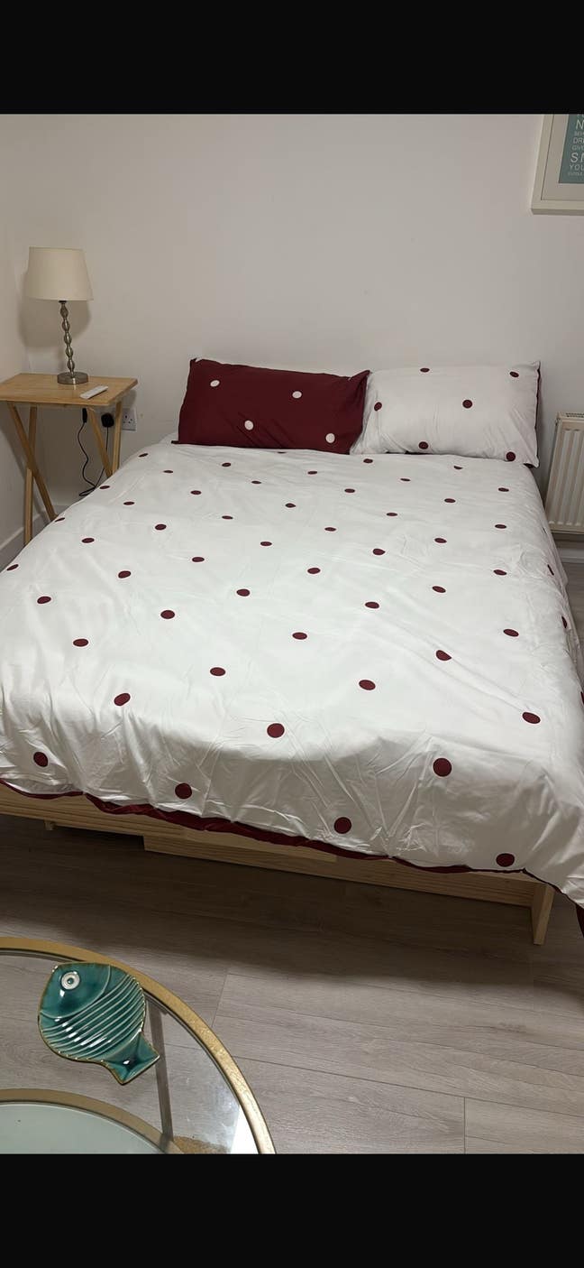 Lovely double bedroom available in 2 bedroom flat Main Photo