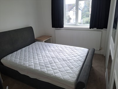 Double room in a four bed house (bills included)  Main Photo