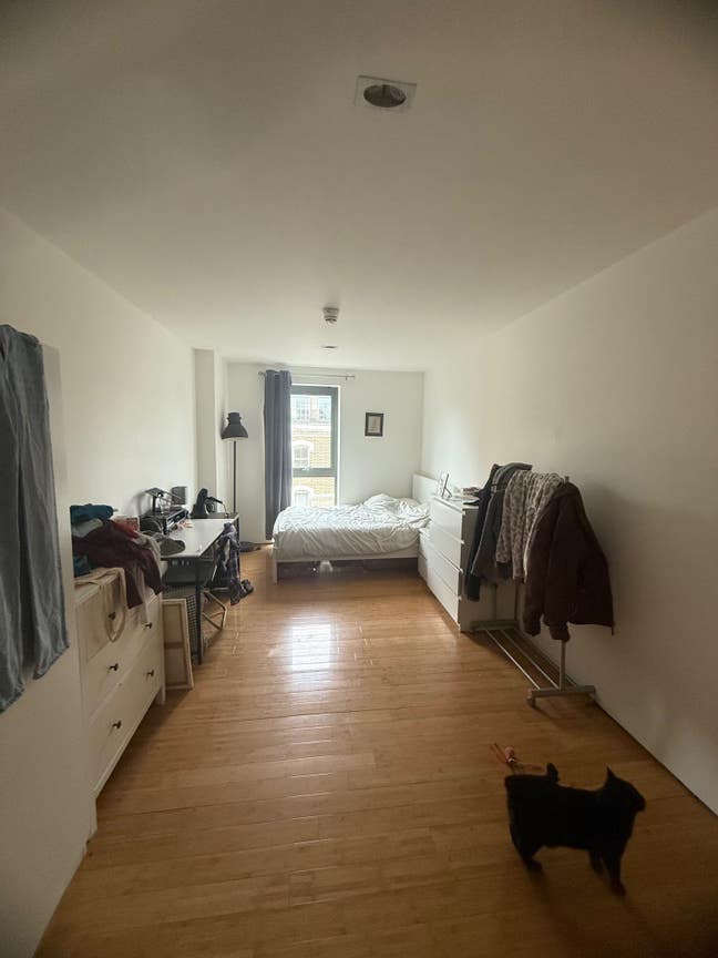 Bright Spacious Room by Haggerston Station Main Photo