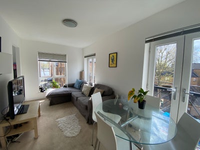 Double room available in Canada Water Main Photo