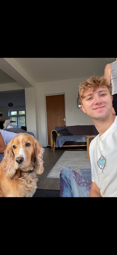 Professional seeking houseshare  Main Photo