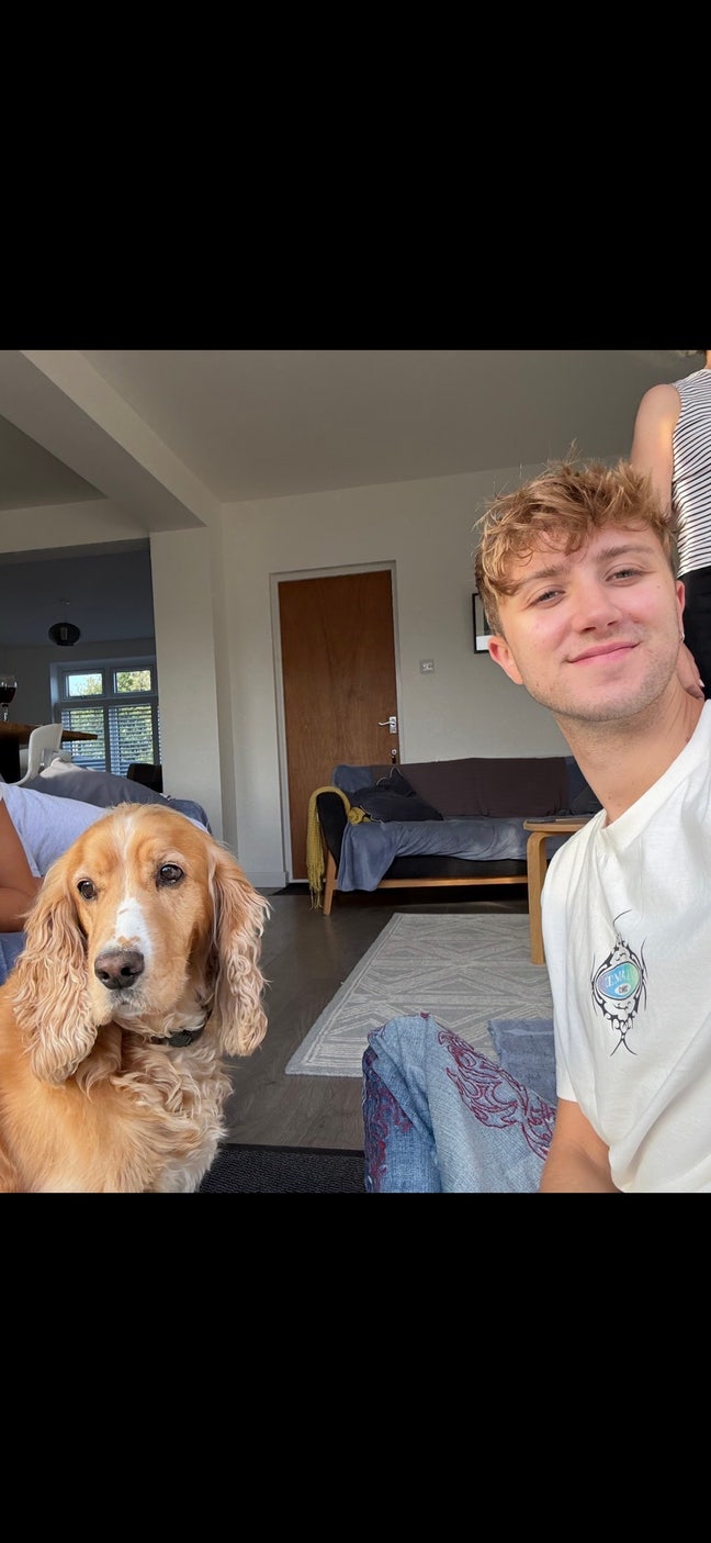 Professional seeking houseshare  Main Photo