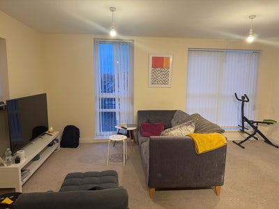 Female Flatmate needed at M11 Main Photo