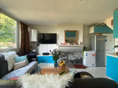 ❤ Three Beautiful  Room in Roehampton Main Photo