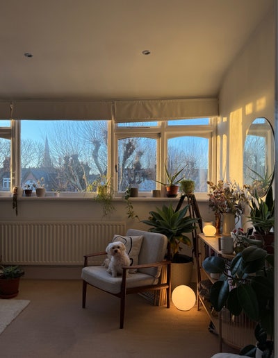 Double room 1 month sublet Muswell Hill  Main Photo