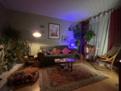 Short term mon-fri let  Main Photo