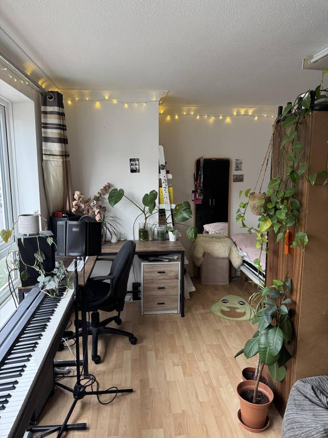 Big Room in Hove Main Photo