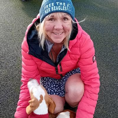 House or flat wanted Main Photo