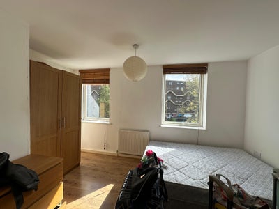 Sunny fully furnished apt near Brixton Village Main Photo