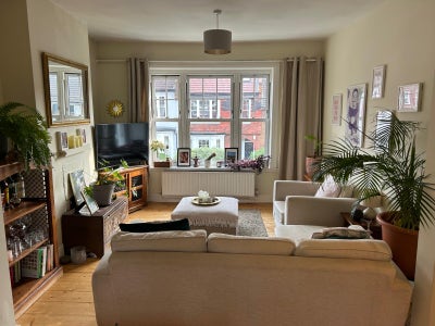 Cosy room in friendly flat Clapham/Balham Main Photo