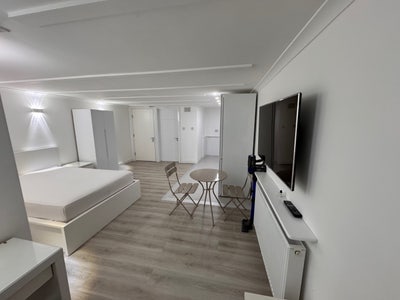 Luxury studio All bill included in C. Kingston.  Main Photo