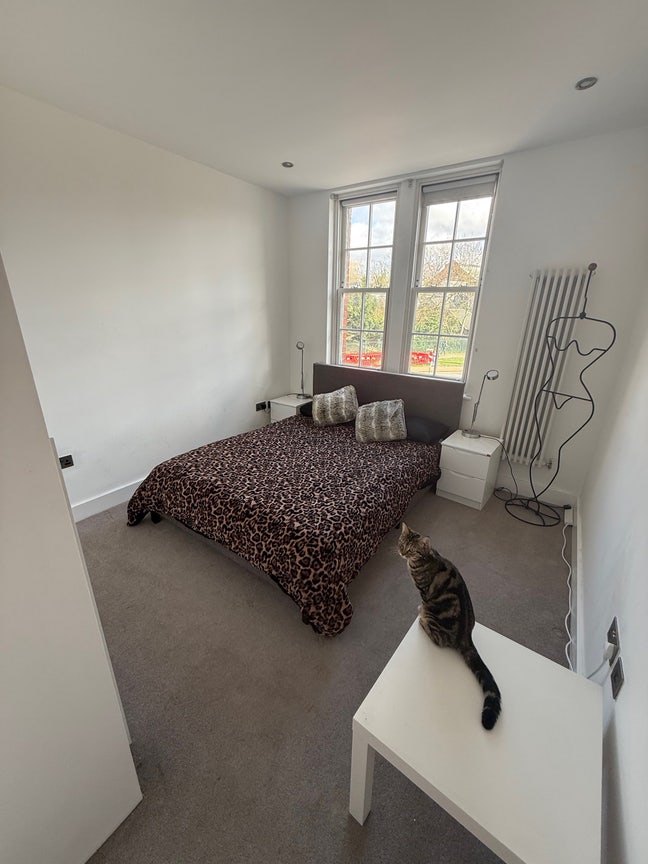 Bright double room with friendly household :)) Main Photo