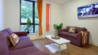 Room for rent at Host student accomodation  Main Photo