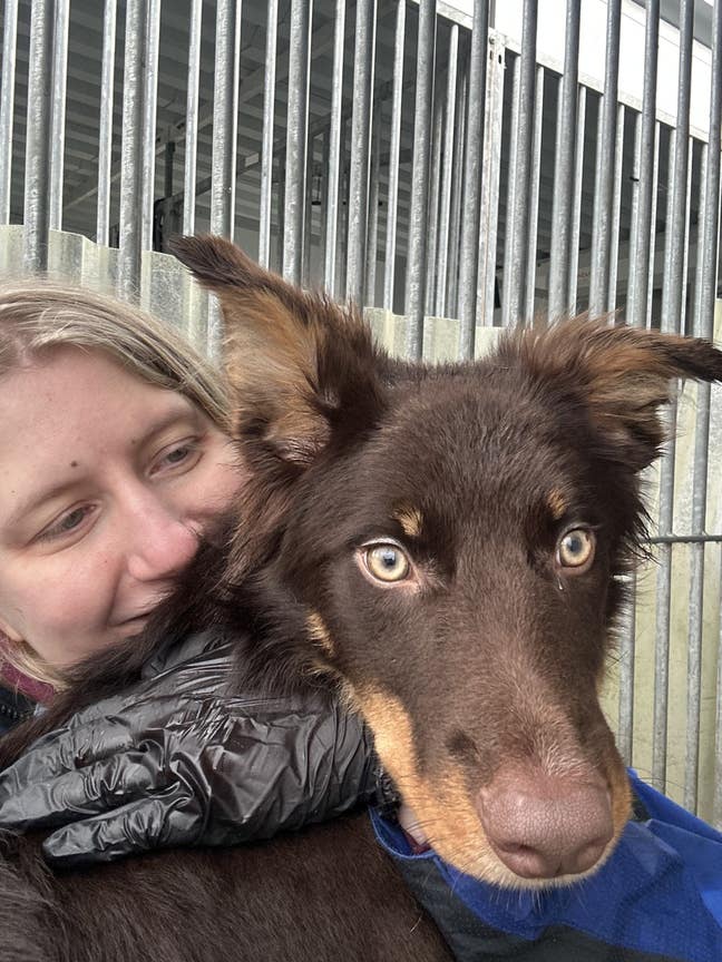 Student Female seeks a single or double room Main Photo