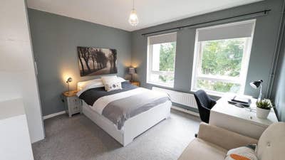 Comfortable Shared Home available Main Photo