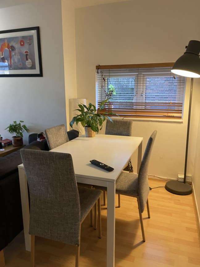 Cosy double room, friendly house,Shepherd's Bush Main Photo