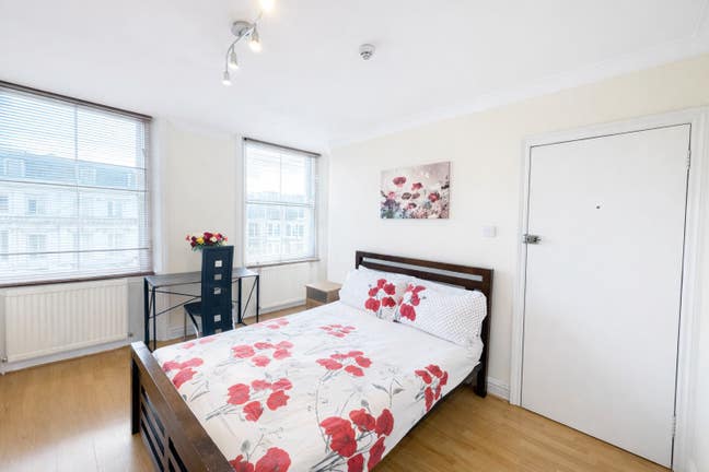 Double Studio Flat for 2026 Summer & Student Year Main Photo