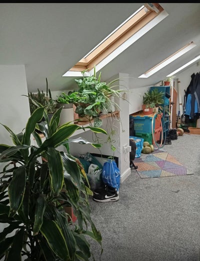 1 bedroom available in 2 bedroom flat. Main Photo