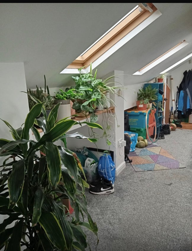 1 bedroom available in 2 bedroom flat. Main Photo