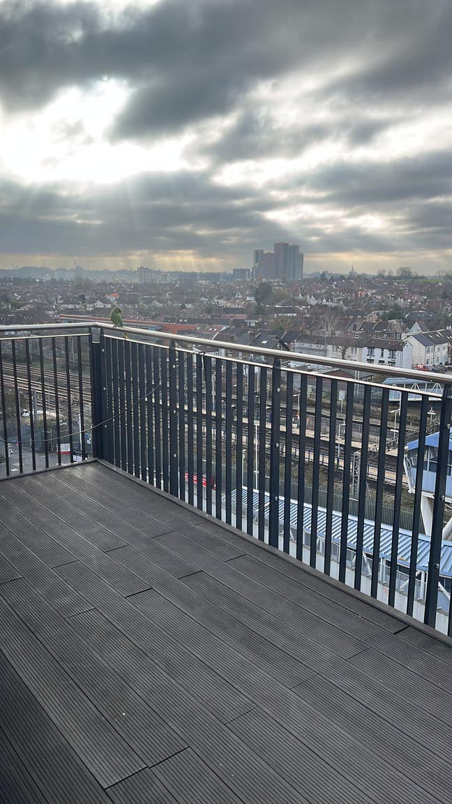 Single bed in shared flat Main Photo