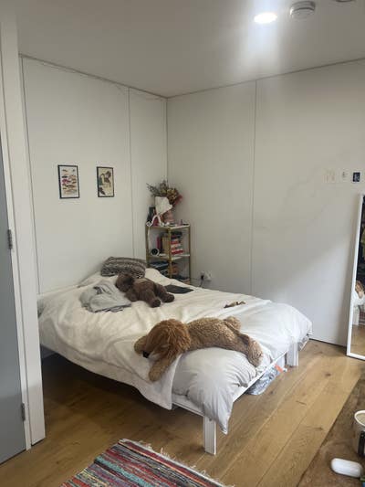 Double room in 4 bed house share in New Islingotn! Main Photo