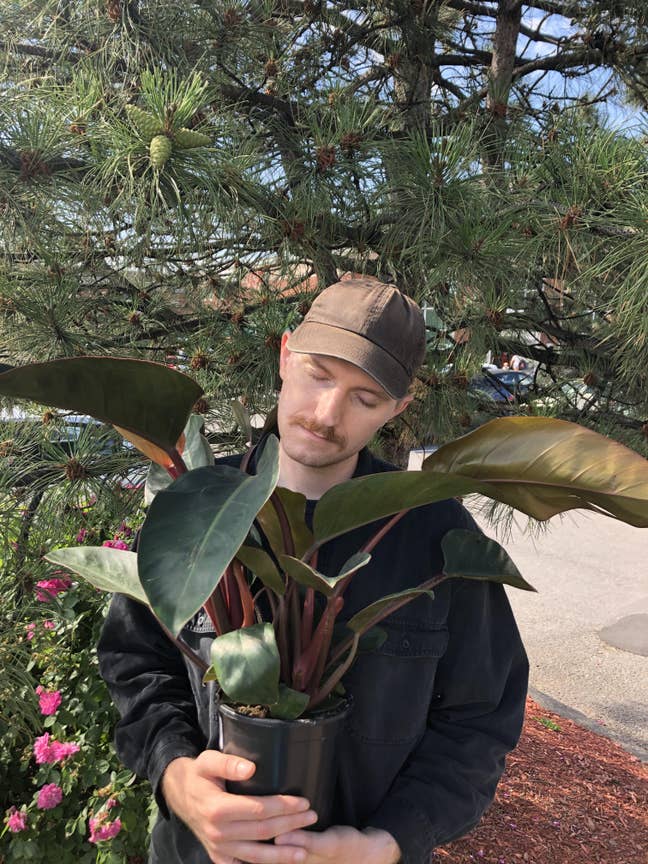 36M moving to London looking for a double Main Photo