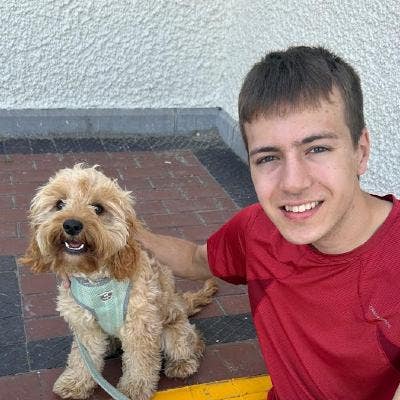 Dog-Friendly Room Wanted Near Aberystwyth Main Photo