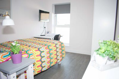 Double En-suite room Availble now Main Photo