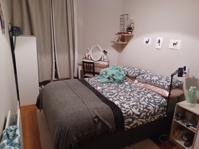 Sunny room available in desirable Bruntsfield Main Photo