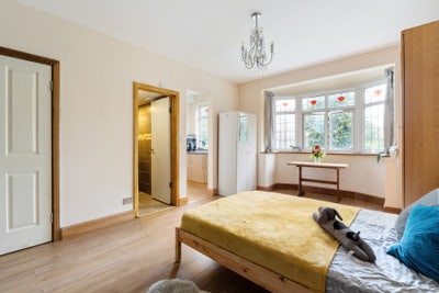 💜 Xtra Large Room with en suite and kitchen Main Photo