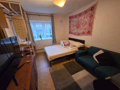 VLarge Double, 2 Gardens in relaxed flatshare Main Photo