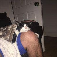 43 year old Male seeks a single or double room Main Photo