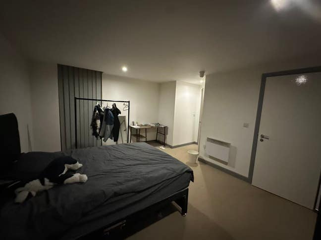 2B looking for a roommate Main Photo