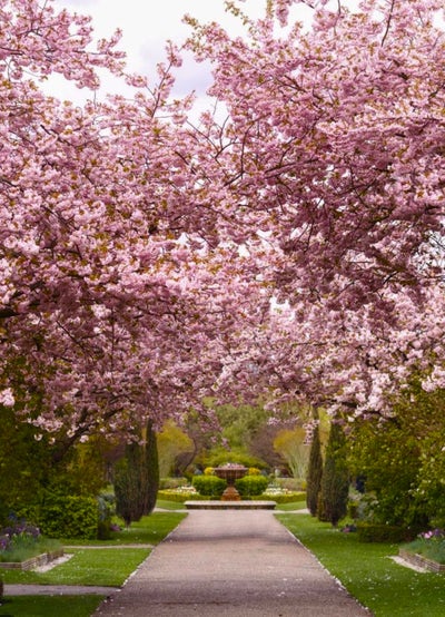 Assisting clinic manager Main Photo