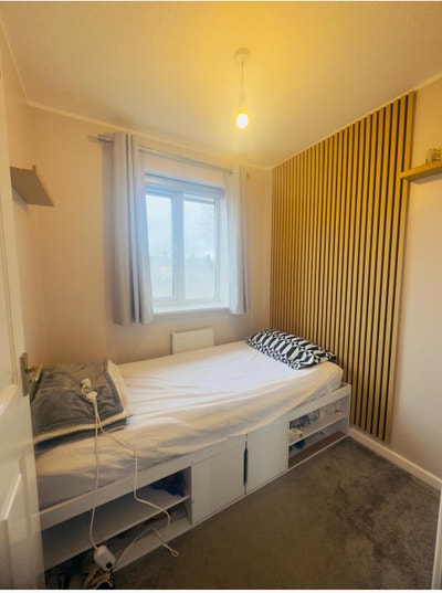 Single Room for Females Main Photo