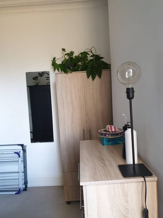  Room for rent in Vauxhall Park  Main Photo