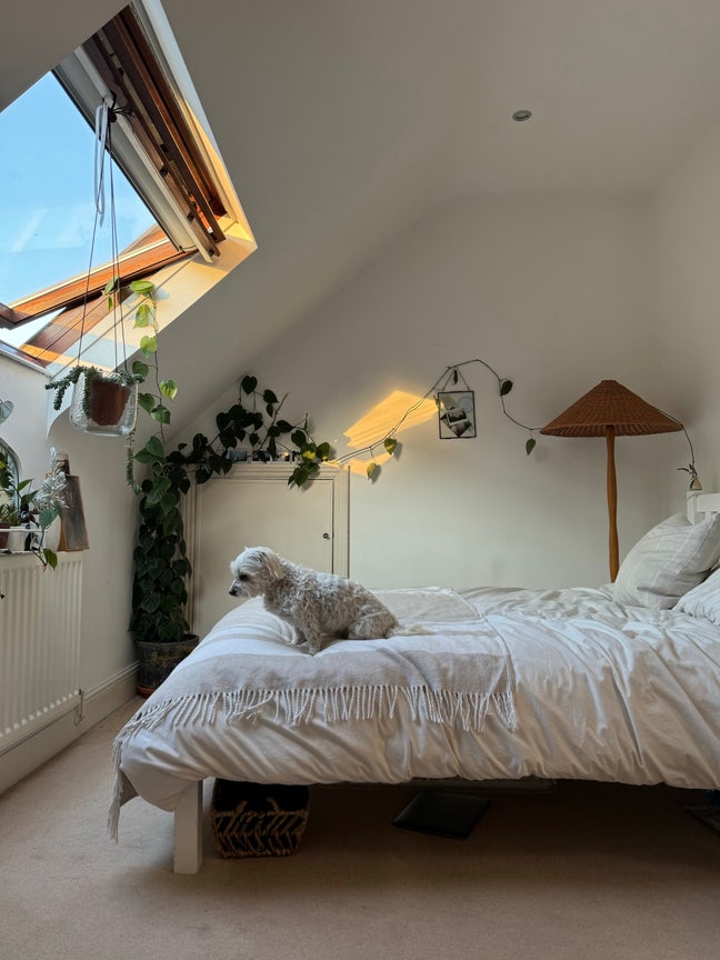 Double room 1 month sublet Muswell Hill  Main Photo